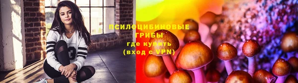 PSILOCYBIN Касимов