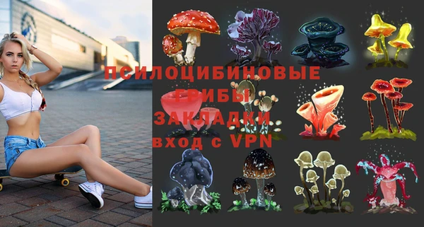MDMA Карпинск