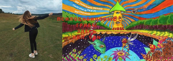 PSILOCYBIN Касимов