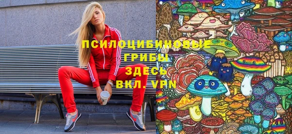 MDMA Карпинск