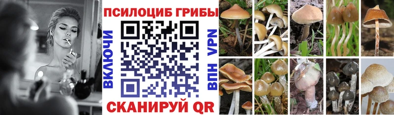 Псилоцибиновые грибы мицелий  Называевск 